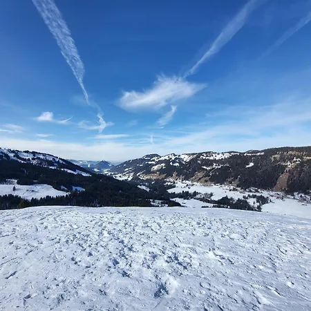 Allgaeu Hues 8 Oder 9 Ferienzimmer Mit Self-checkin 3* Balderschwang